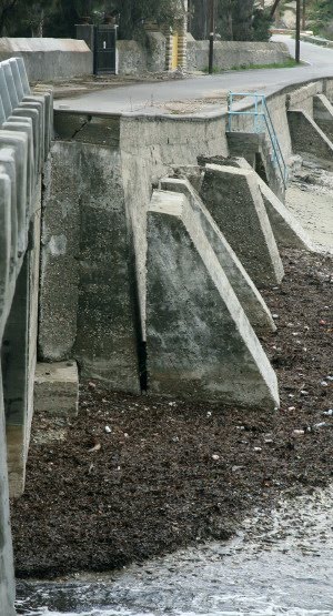[IMG_82551_1.jpg]