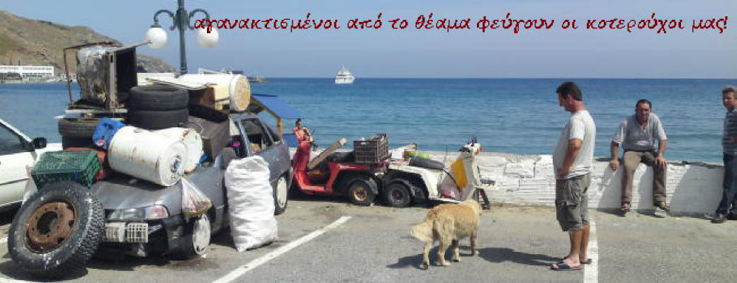 [IMG_8116_1_1.JPG]