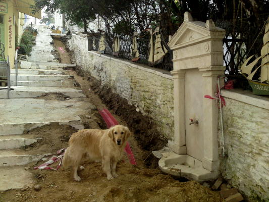 [DSC00802_1.JPG]