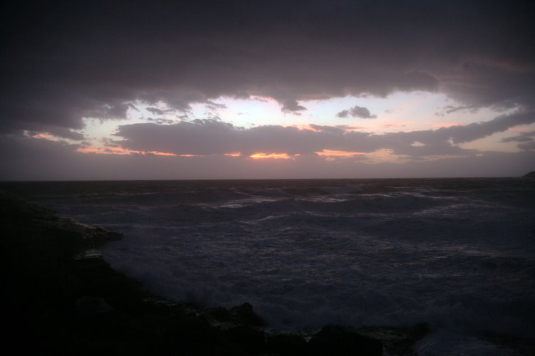 [IMG_9771_1.JPG]