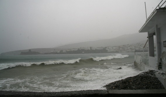[IMG_0301_1.JPG]
