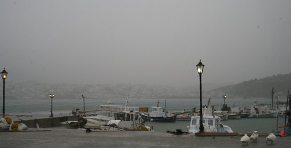 [IMG_0295_1.JPG]