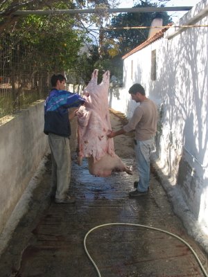 [IMG_0042_1.JPG]