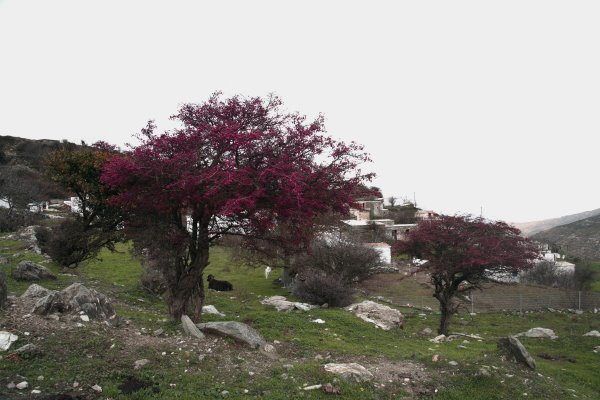 [IMG_0470_1.JPG]