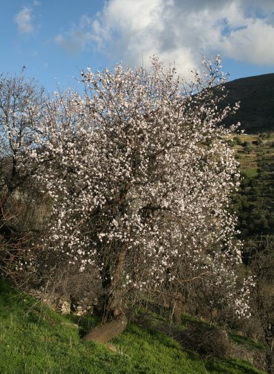 [IMG_1068_1.JPG]