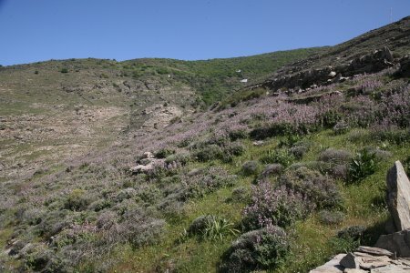 [IMG_3696_1.JPG]