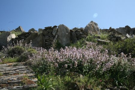 [IMG_3707_1.JPG]