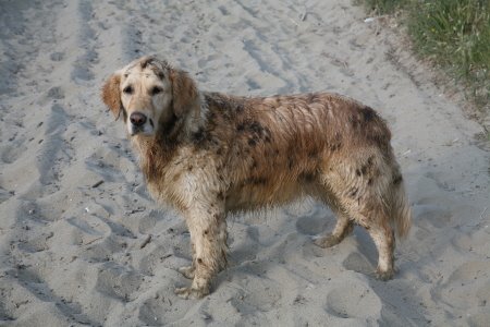 [IMG_3826_1.JPG]