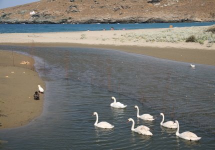 [IMG_46281_1.jpg]