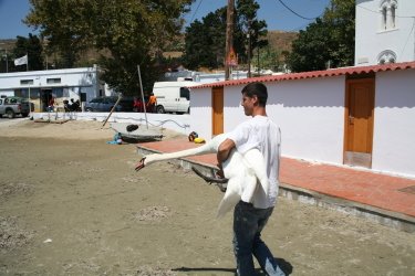 [IMG_4620_1.JPG]