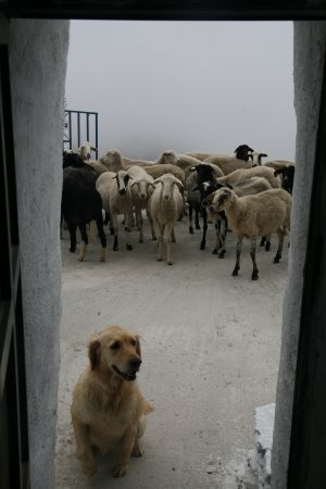 [IMG_4923_1.JPG]