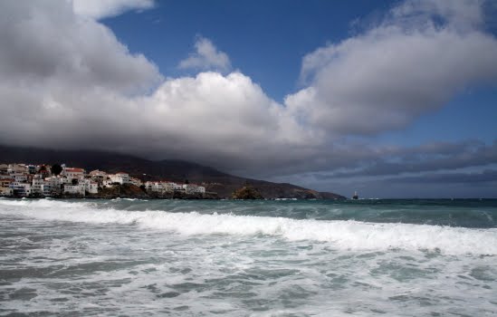 [IMG_8311_1.JPG]