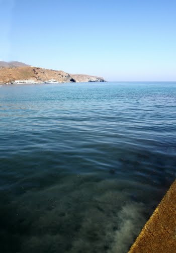 [IMG_5030_1.JPG]