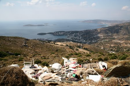 [IMG_8503_1.JPG]