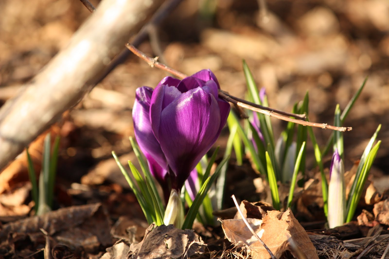 [IMG_3515.jpg]