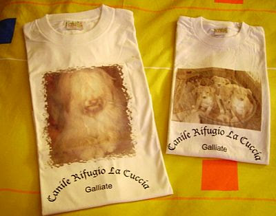 maglietta con immagine di cane per raccogliere fondi per il nostro canile rifugio