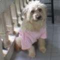 My photo