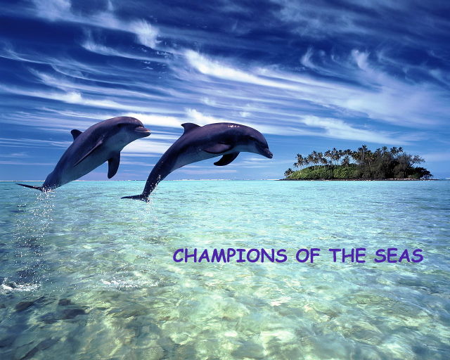 Champions of the Seas