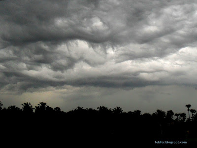 Rain Scenes