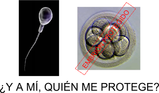 espermatozoide embrion gameto cigoto