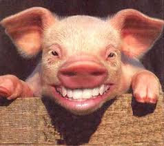 SMILES-709694.jpeg