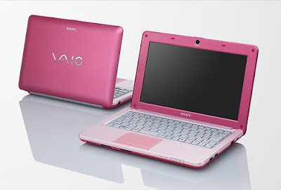 Sony VAIO W series pink netbook