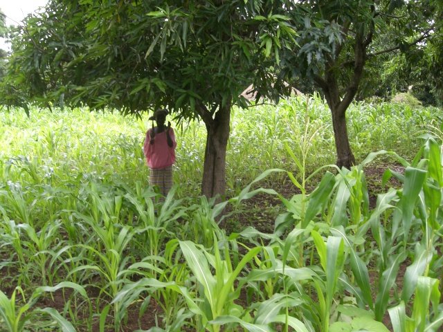 [CIMG0875.JPG]