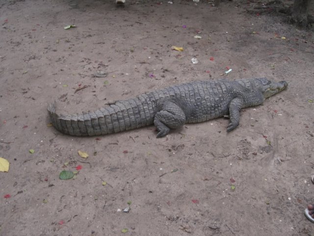 [CIMG0854.JPG]