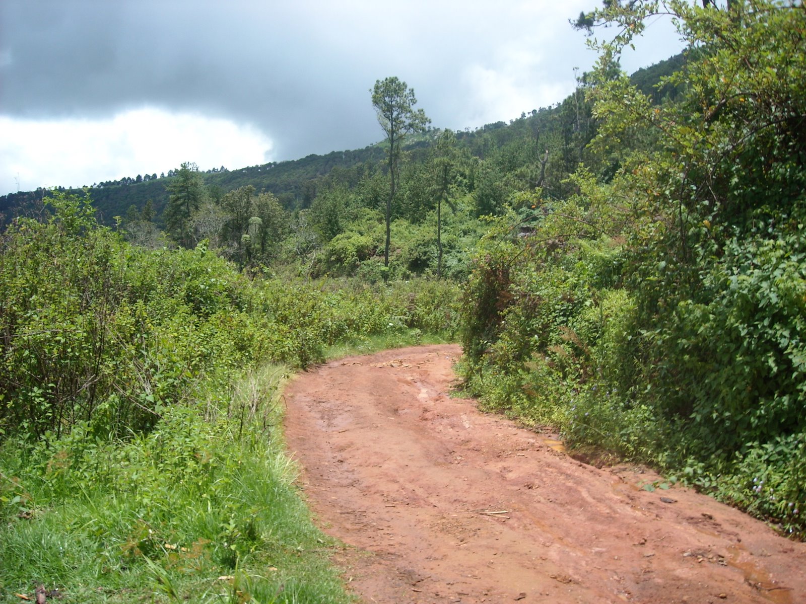 [malawi+an+moz+021.jpg]