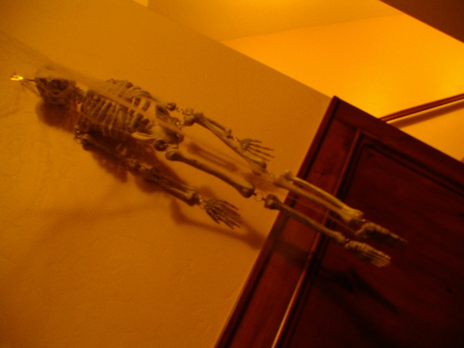 [Pirate+Party+025.jpg]