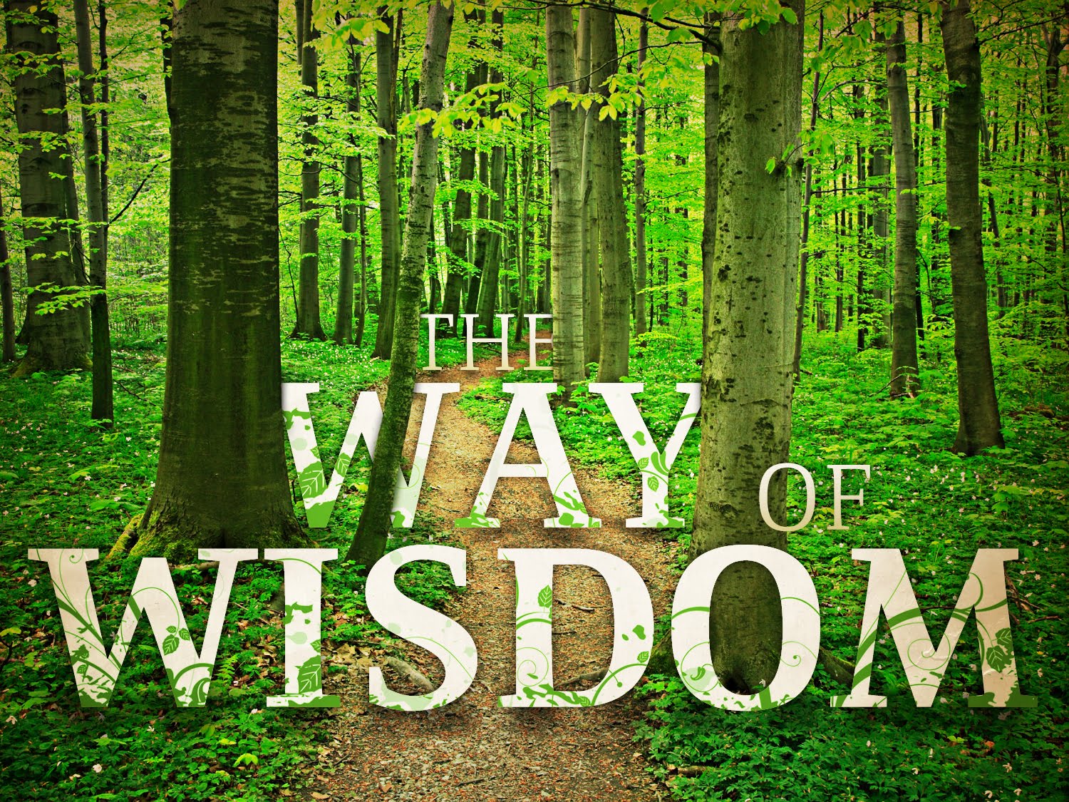Foundational Devotions For 2010 Day 204 Proverbs 3 27 32 Foundational Devotions For 2010 Day 204 Proverbs 3 27 32
