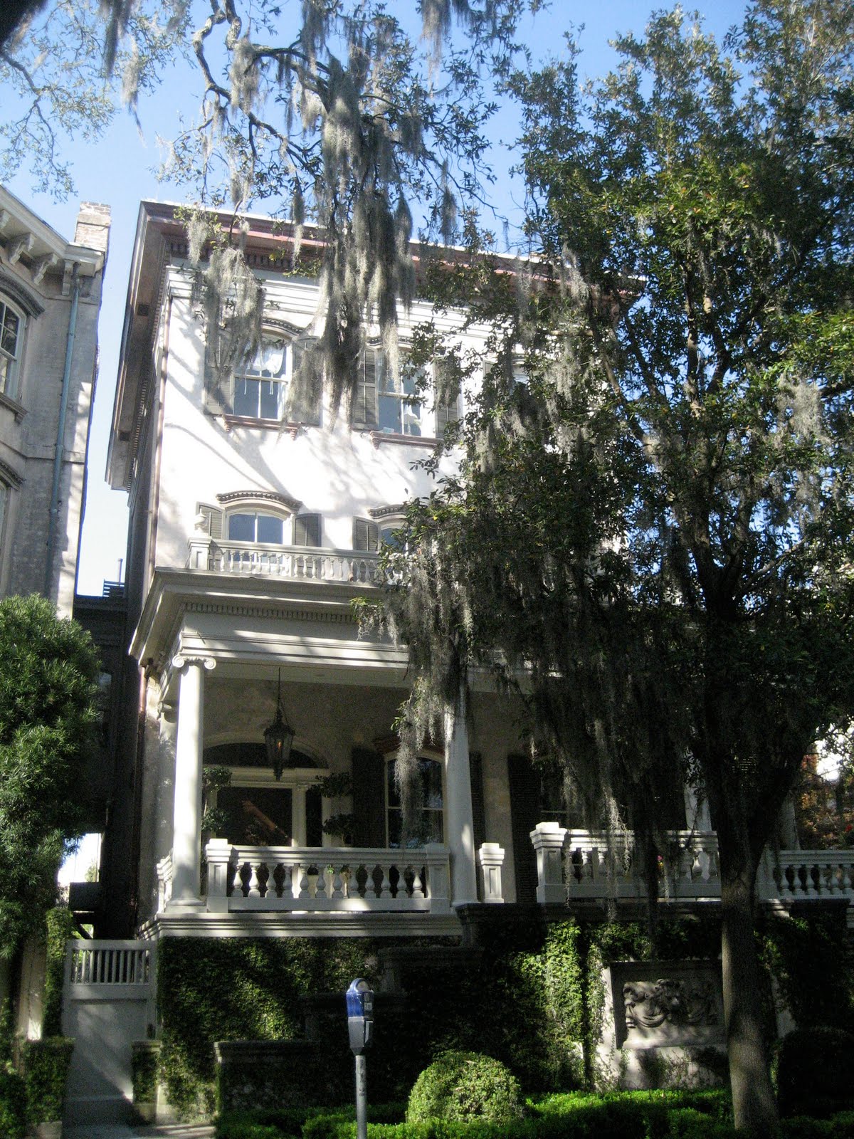 love you in the fall ; savannah neighborhoods (part one)