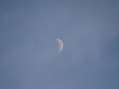 Moon in Daytime