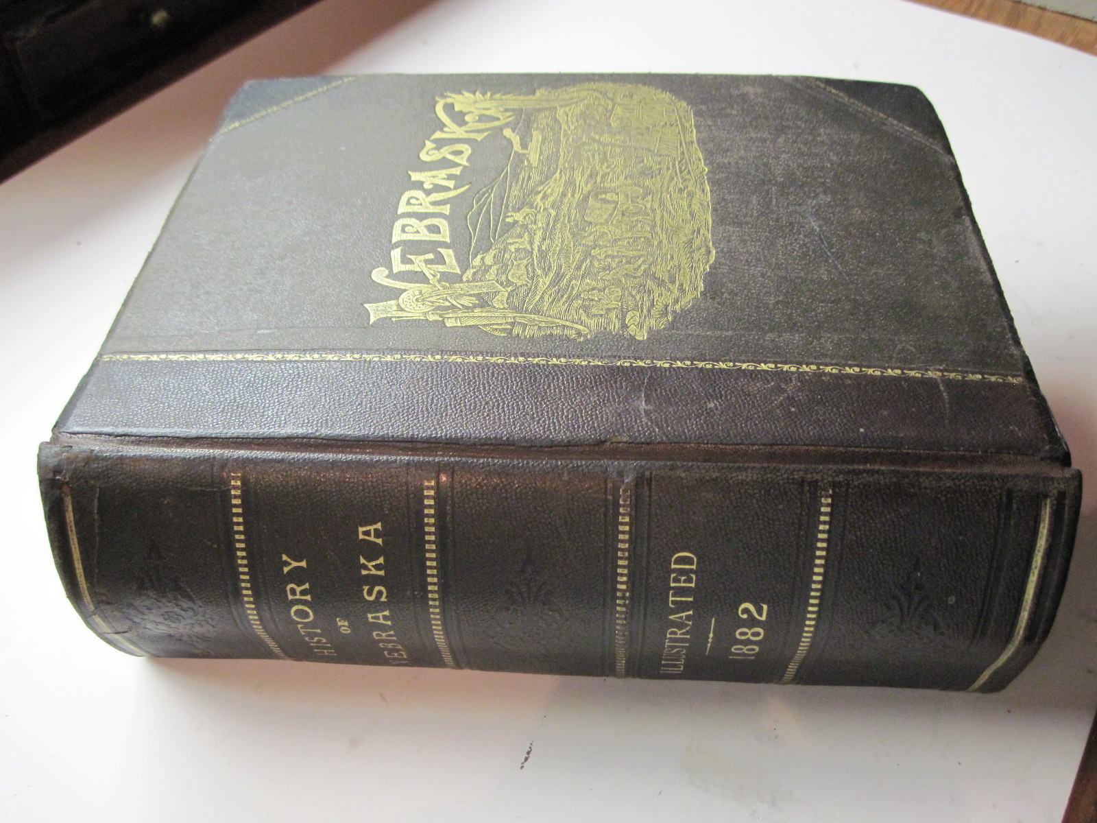 Fine Book Binding and Restoration Leather Conservation Reback