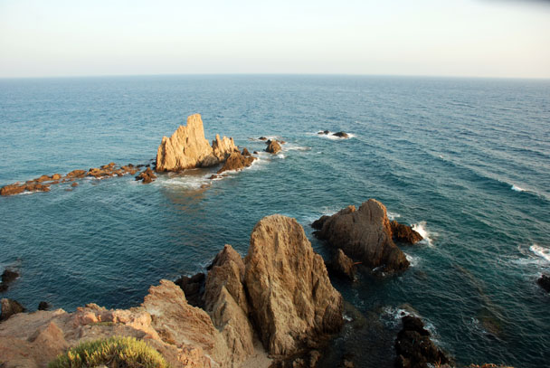 [DSC_3697.JPG]