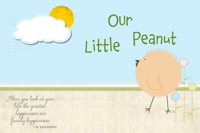 Our Little Peanut 22 Weeks To Go our-little-peanut-22-weeks-to-go
