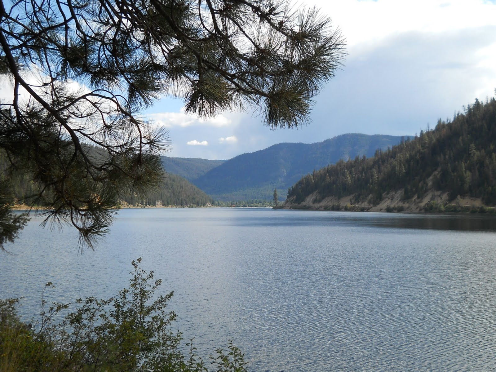 Flowers and Weeds Otter Lake Adventure