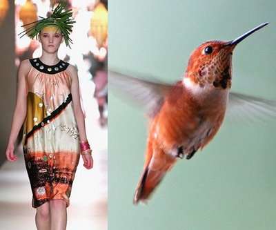Ed Fadiel: Avian Fashion Bird Inspired Design