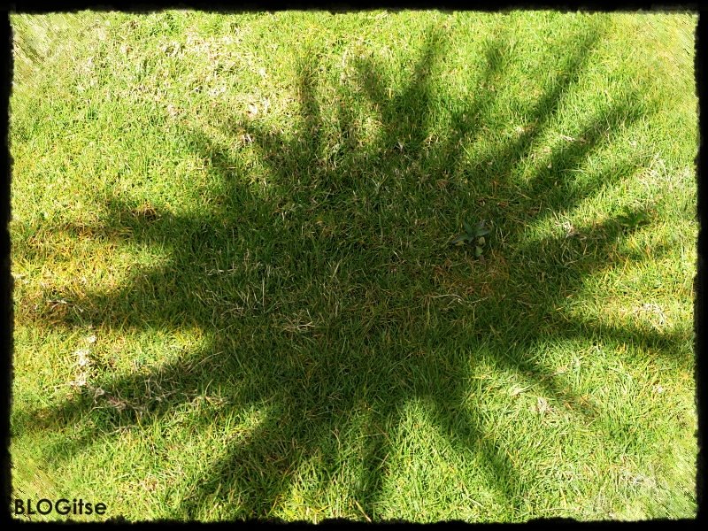 [sun+or+what.JPG]