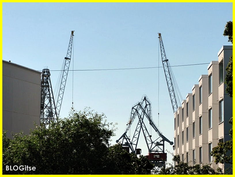 [cranes+8.JPG]