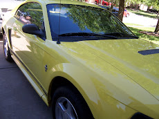 Yellow-stang