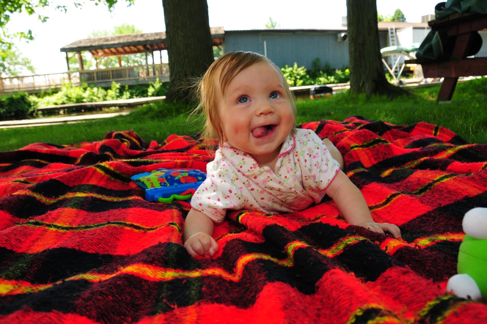 Ripley Anne Riegert