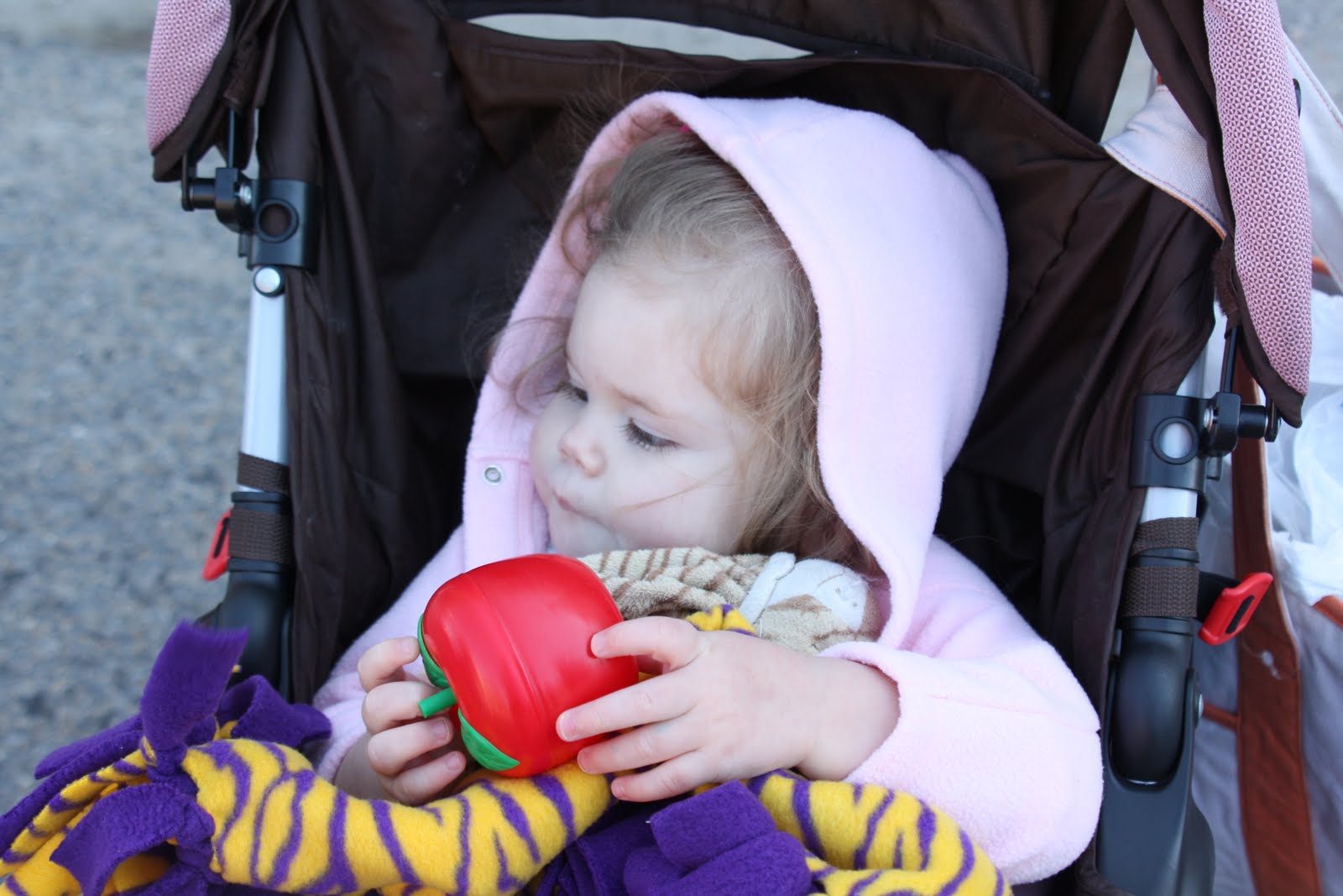 [Feb2010+064.JPG]
