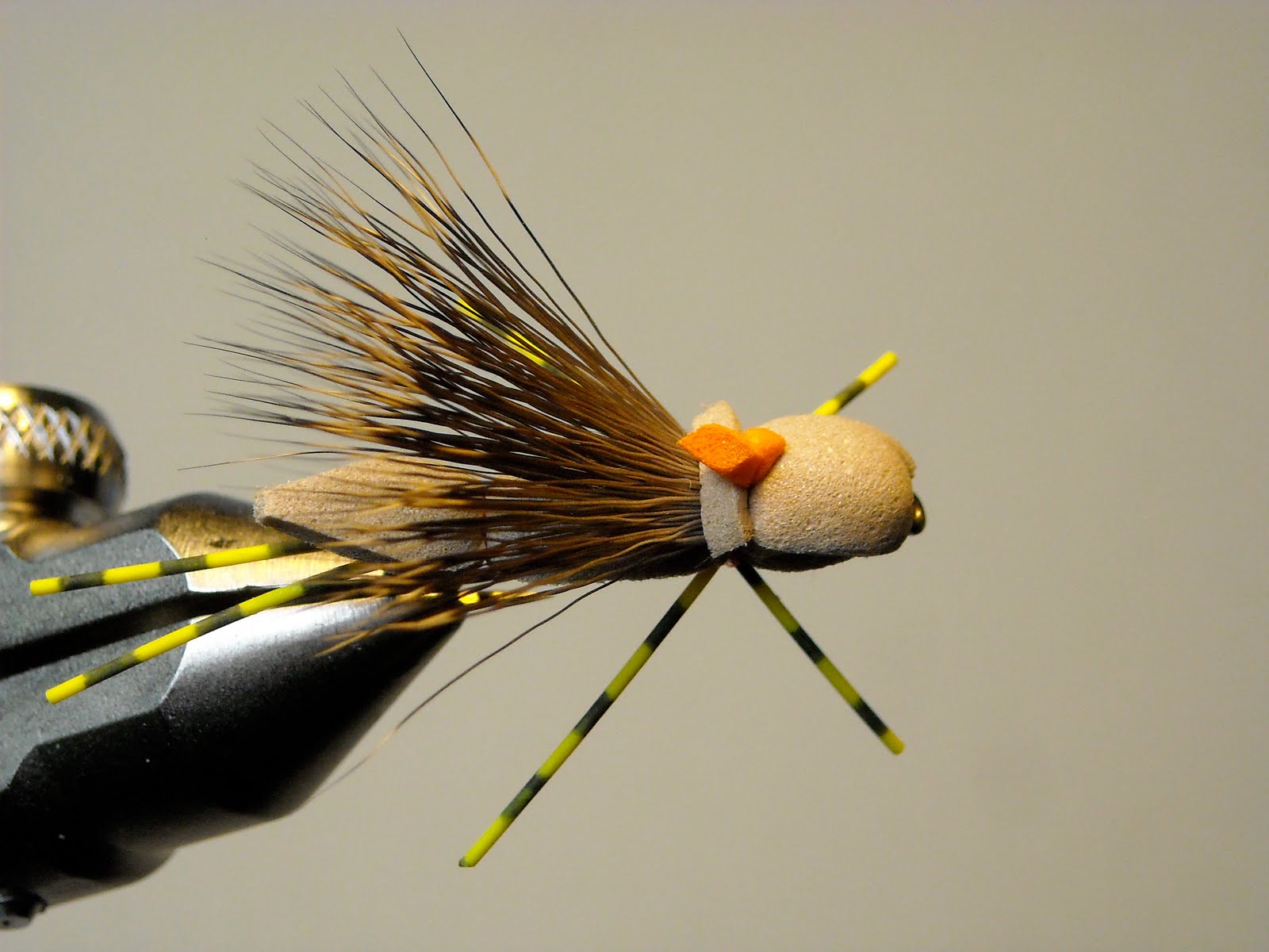 Hopper Time Coming soon!