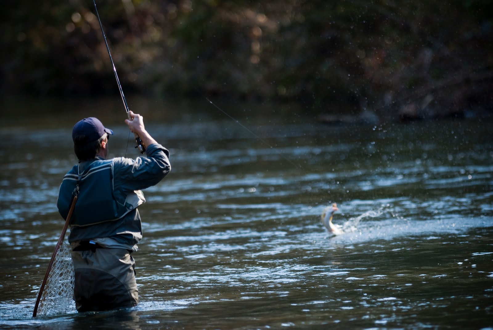 Ловить рыбу в чистой воде во сне. Рыбак на реке. Рыбак на рыбалке. Вываживание крупной рыбы. Ловить рыбу.