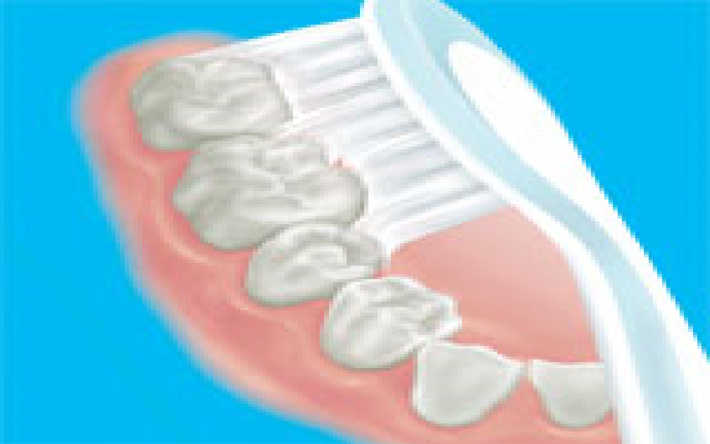 Indria-Dentist-News: Cara Menyikat Gigi yang Benar