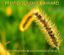 PREMIO SUNSHINE AWARD 2010 a los Mejores Blogs Hispanos.