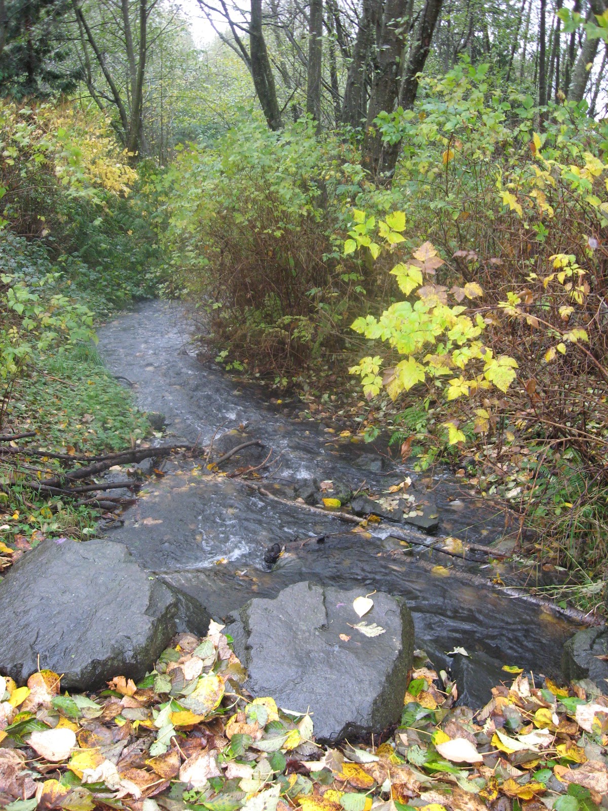 paramount trail