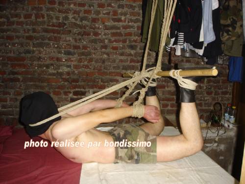 Gay hog tied Depicting hardcore trannies
