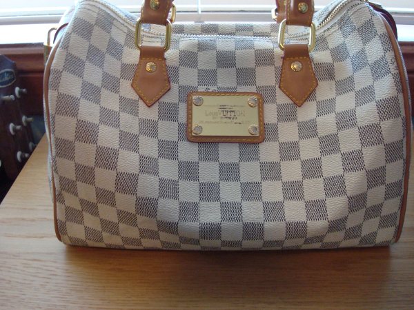 Rep Bags Chat: Damier Azur Canvas Speedy 30 Review by Tia